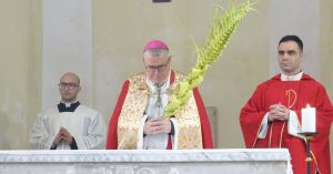 domenica delle palme cop